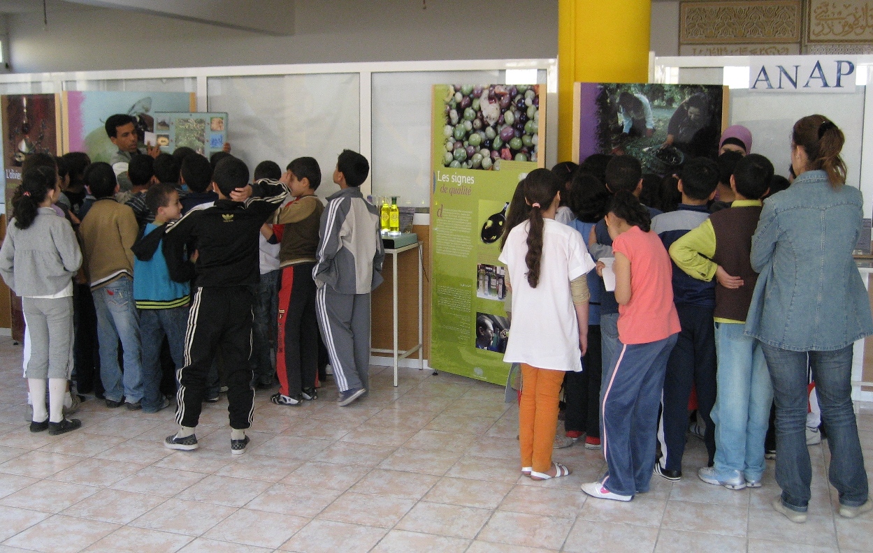 Expo Olivier 20 avril 13