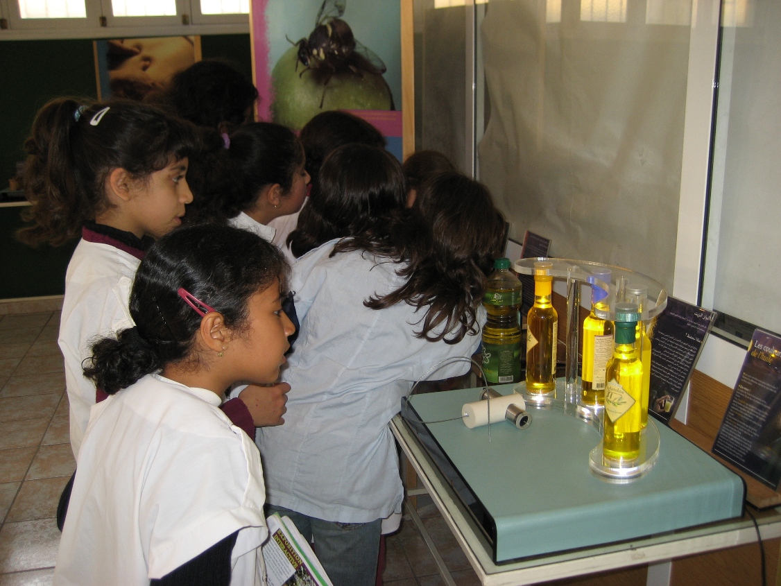 Visite 19 avril _ 13