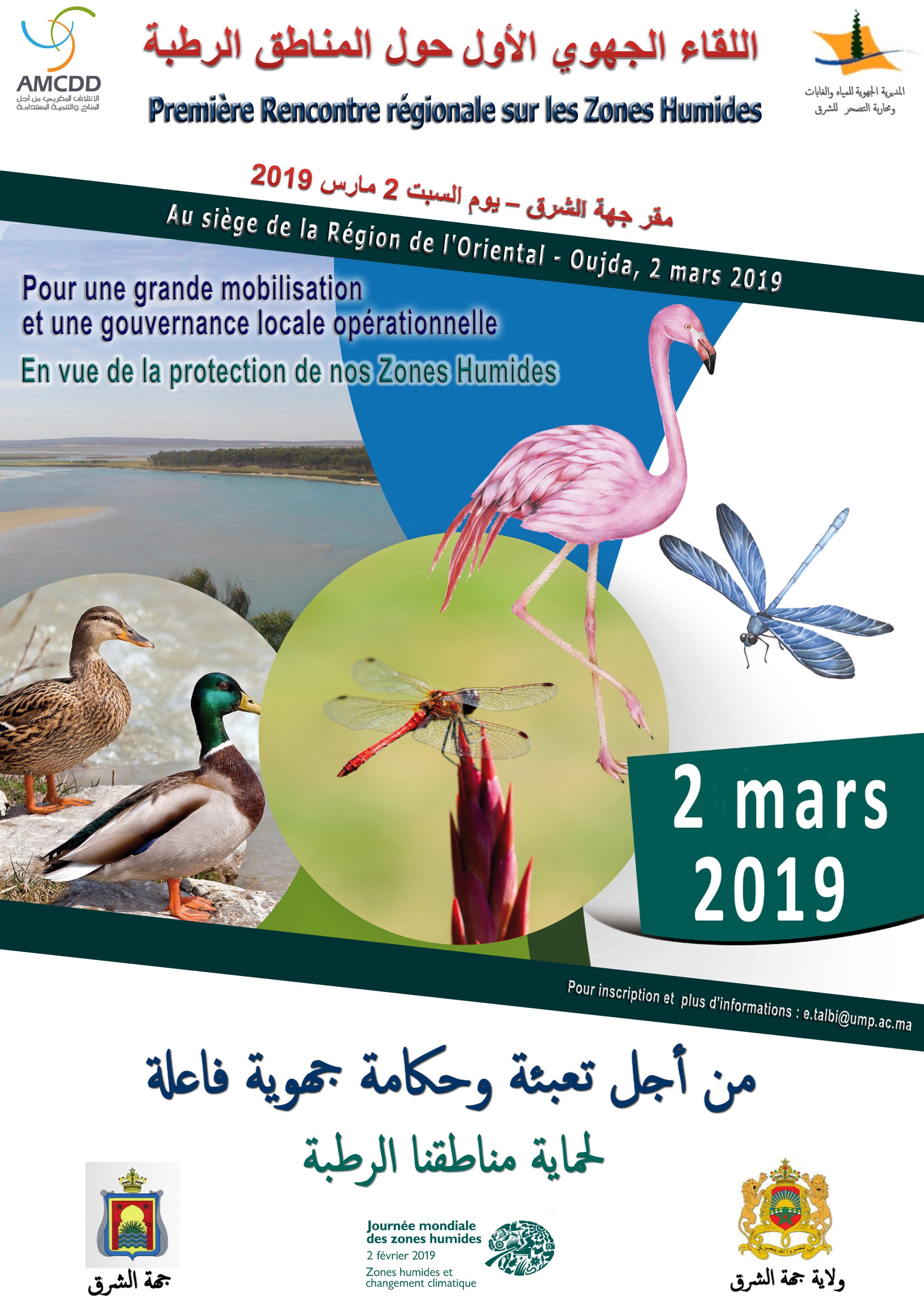 Affiche Zones Humides 2019