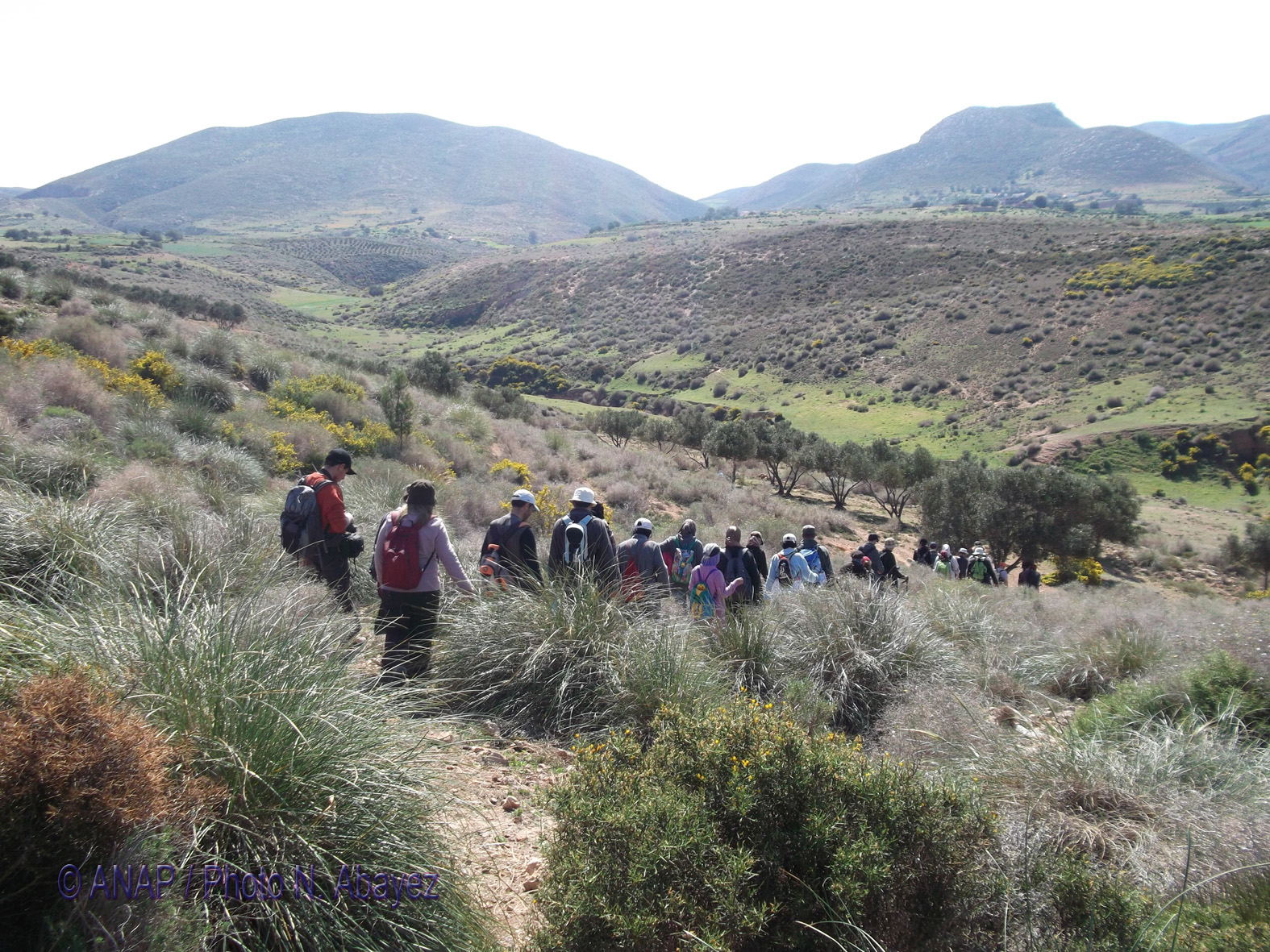 Rando Cap de l'Eau : Oued Aich