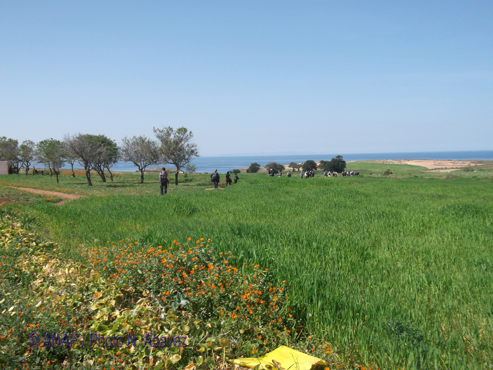 Rando Cap de l'Eau : Champs c�tiers