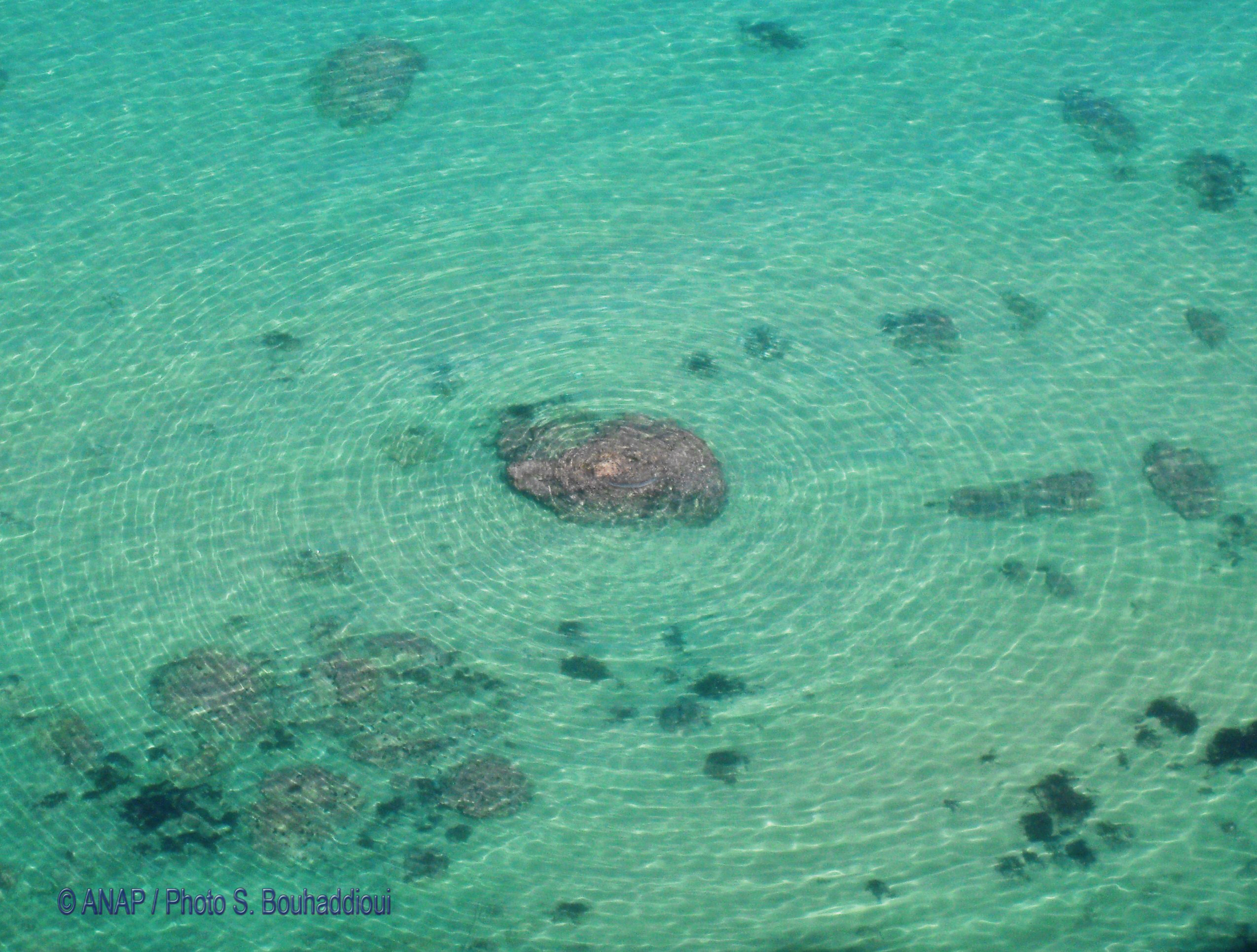 Rando Cap de l'Eau : Eau & ondes