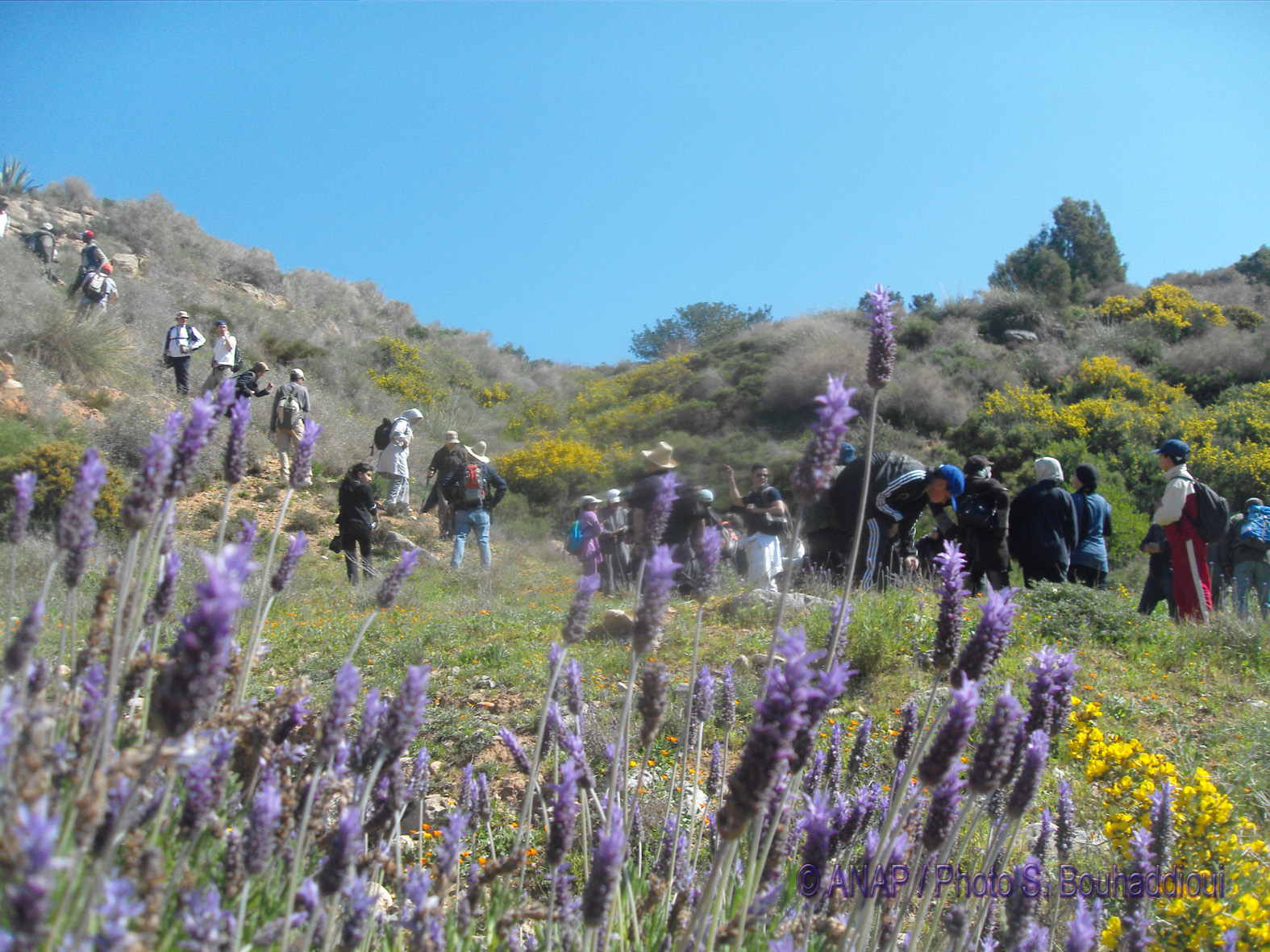 Rando Cap de l'Eau : Lavande
