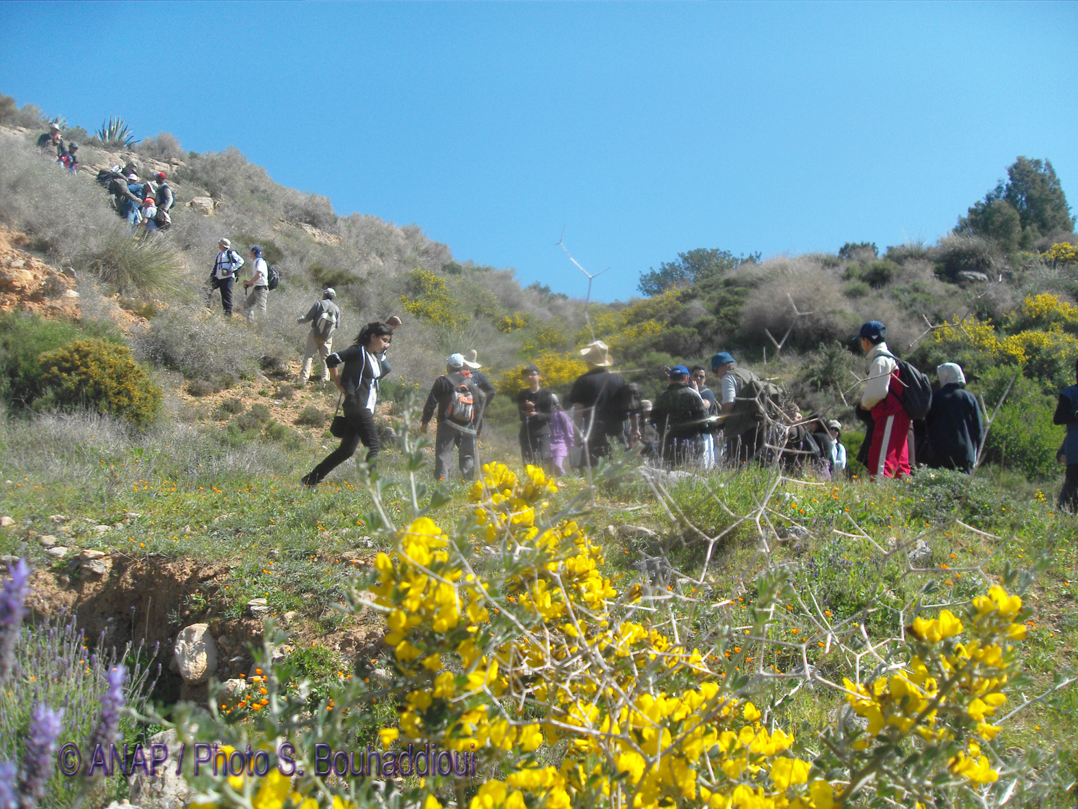 Rando Cap de l'Eau : Fleures