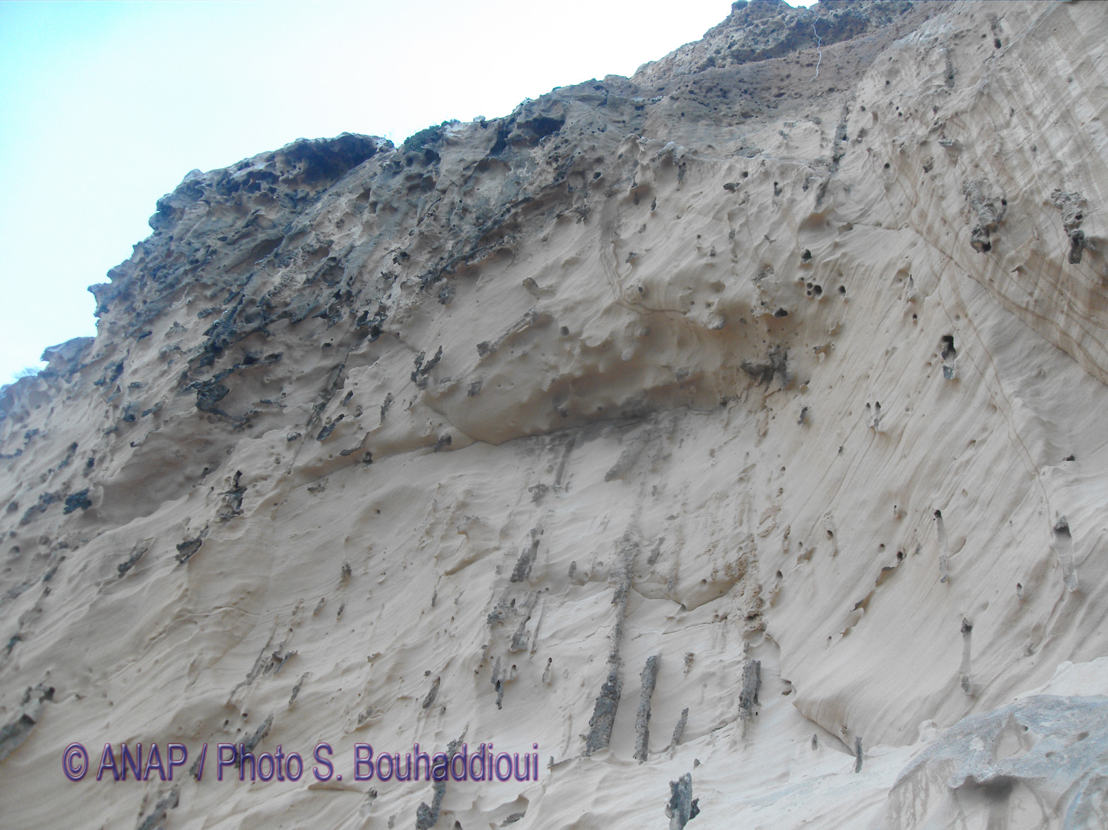 Rando Cap de l'Eau : Falaise