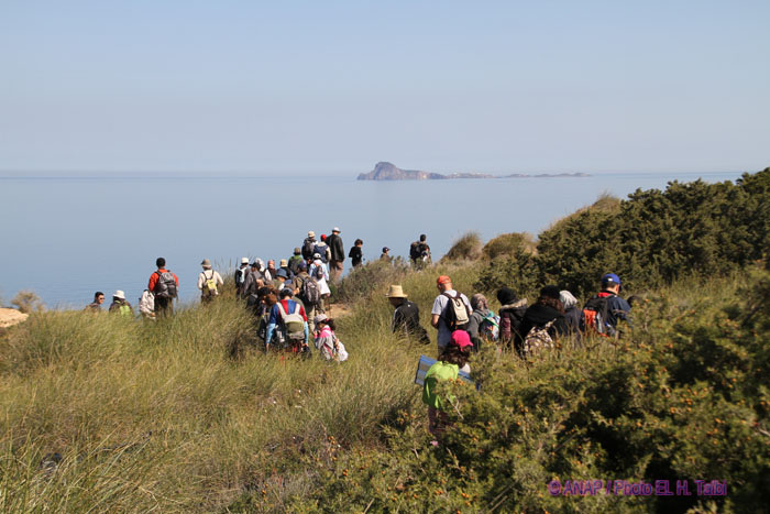 Marche le long du Littoral