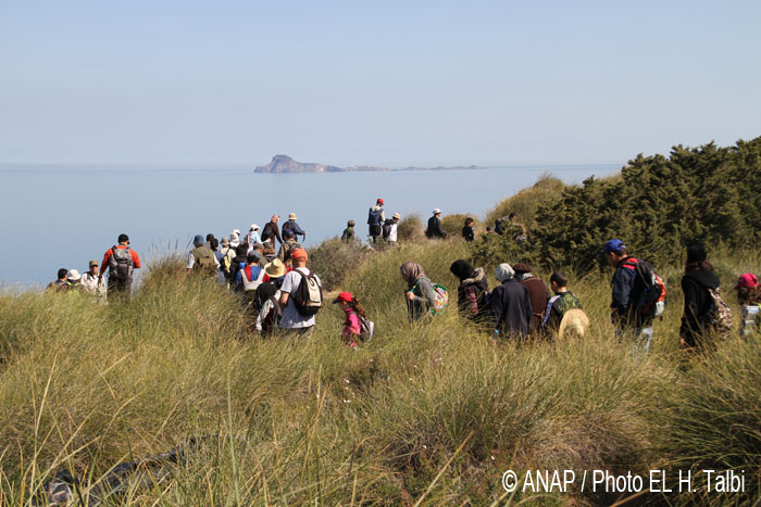 Marche le long du Littoral 2