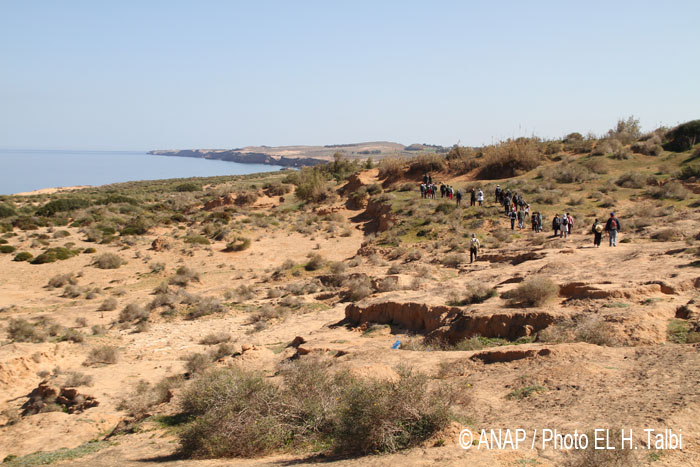 Marche le long du Littoral 3