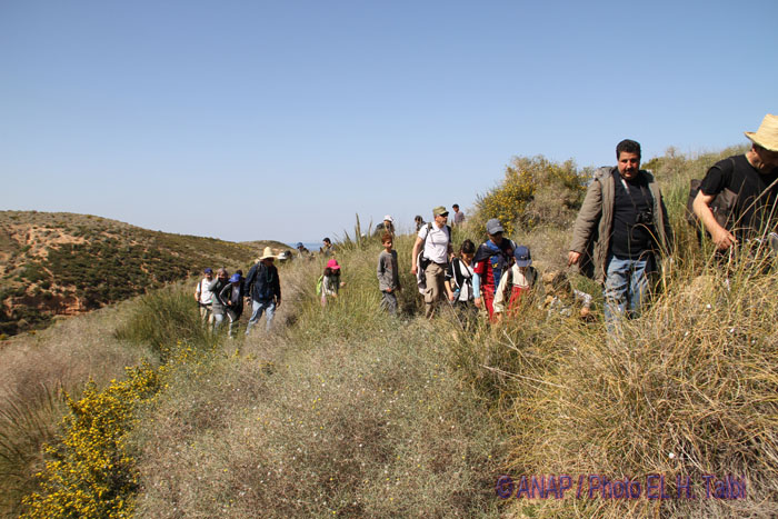 Rando cap : vers l'int�rieur