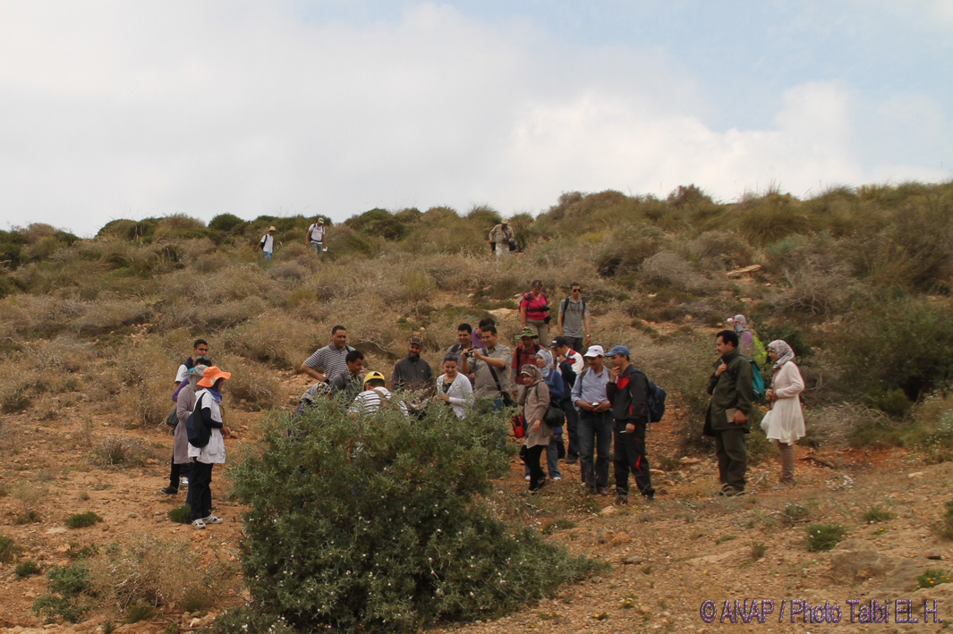 Branche d'Escargots ... 3