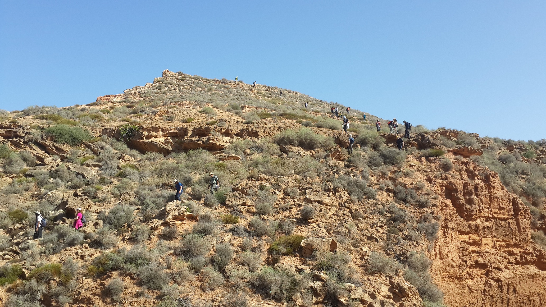 Partie test des capacit�s!