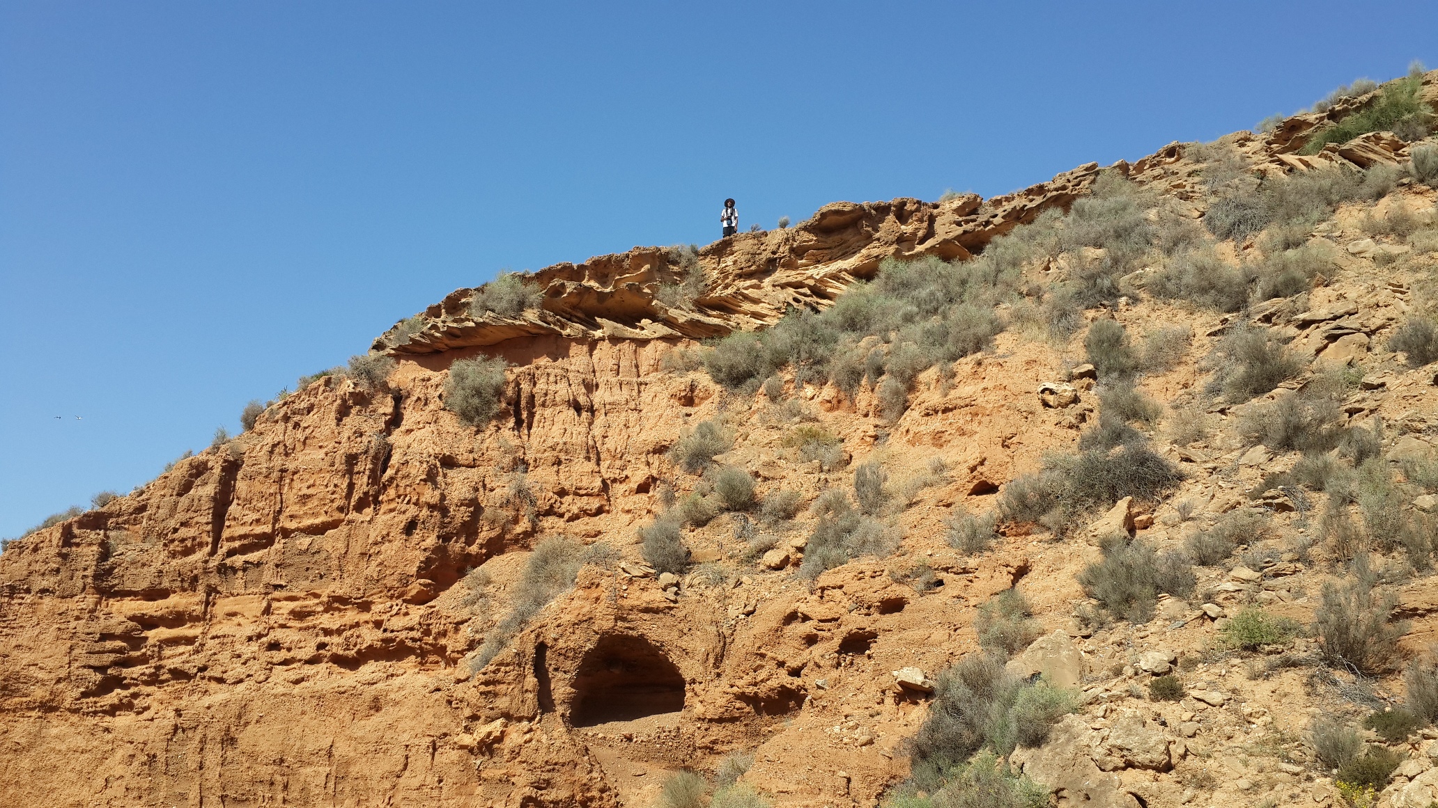 Sur le chemin du retour