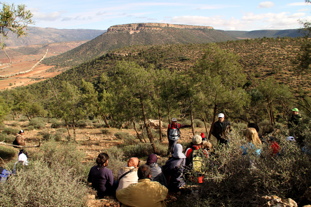 Pause de CST : histoire de la vie
