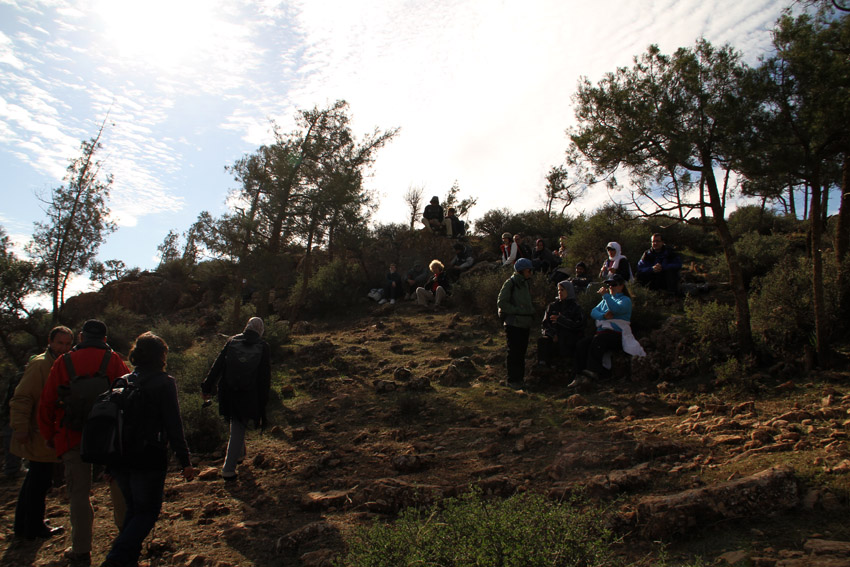 Pause de CST : histoire de la vie 2