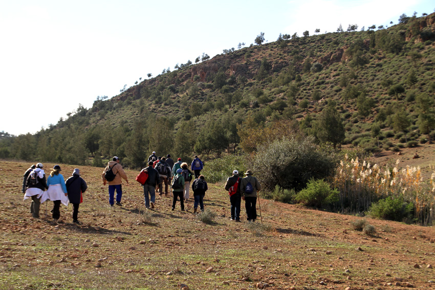 Marche dans la for�t de jorf el Ouazene