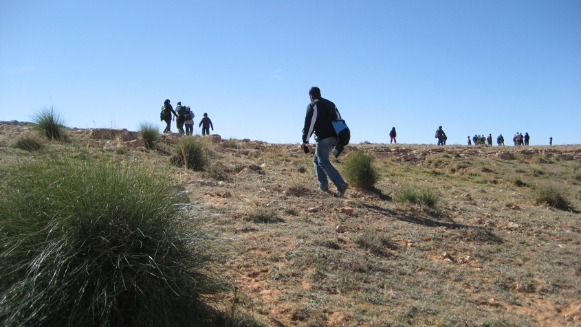 sortied e depression 2