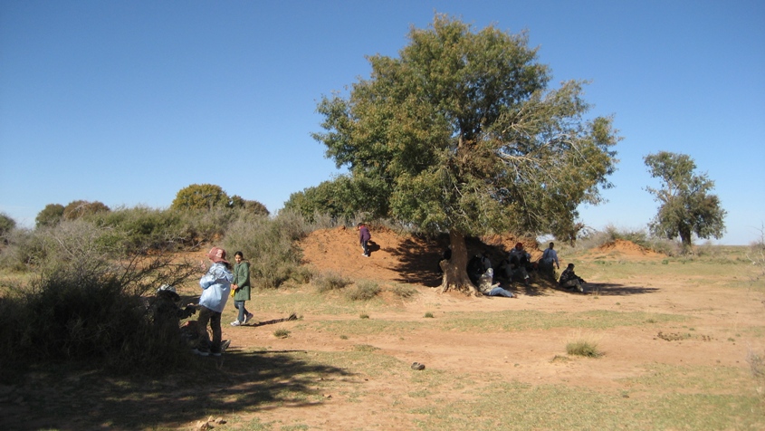 Site des Pistachiers