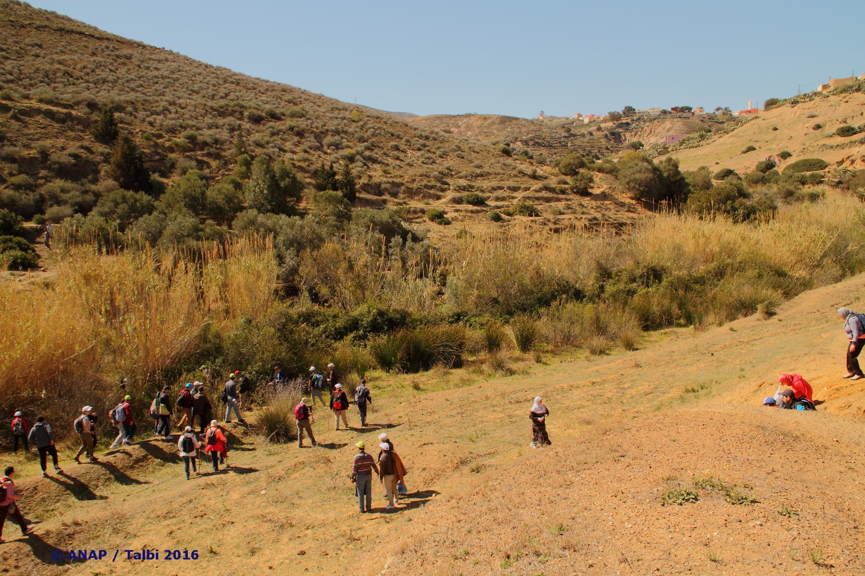 Travers�e de l'oued