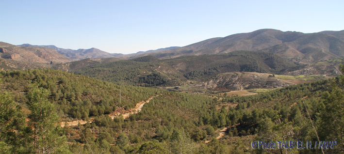 Paysage_Tafoughalt-Zegzel