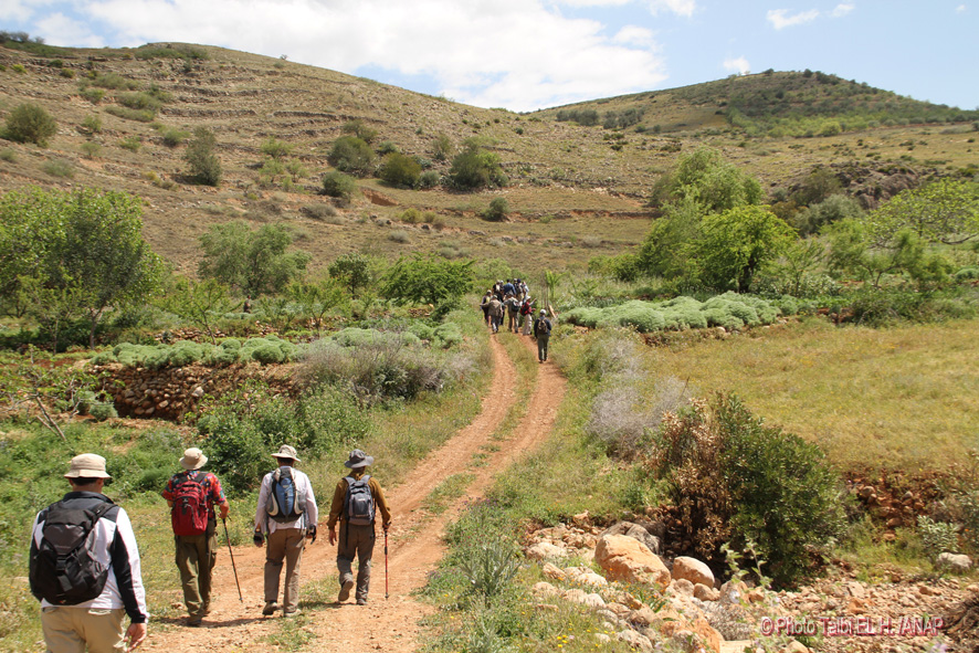 Rando Fazouane : les premiers jardins