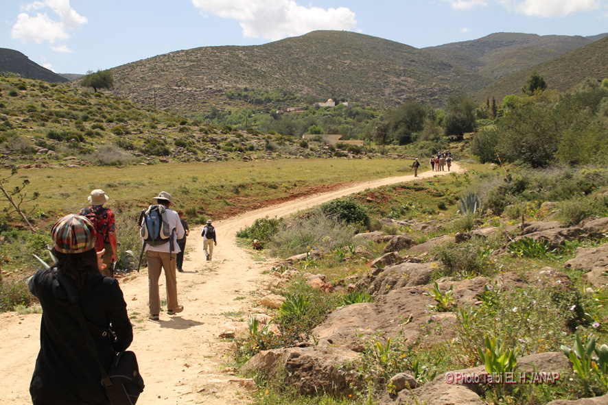 Rando Fazouane : Sidi Ramdane