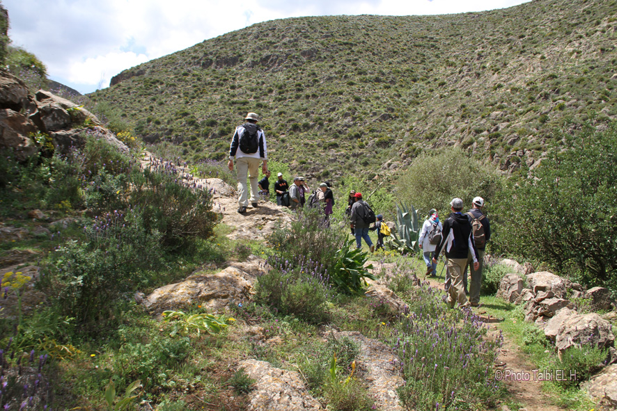 Au sein des B�ni Snassen : c�t� Fazouane