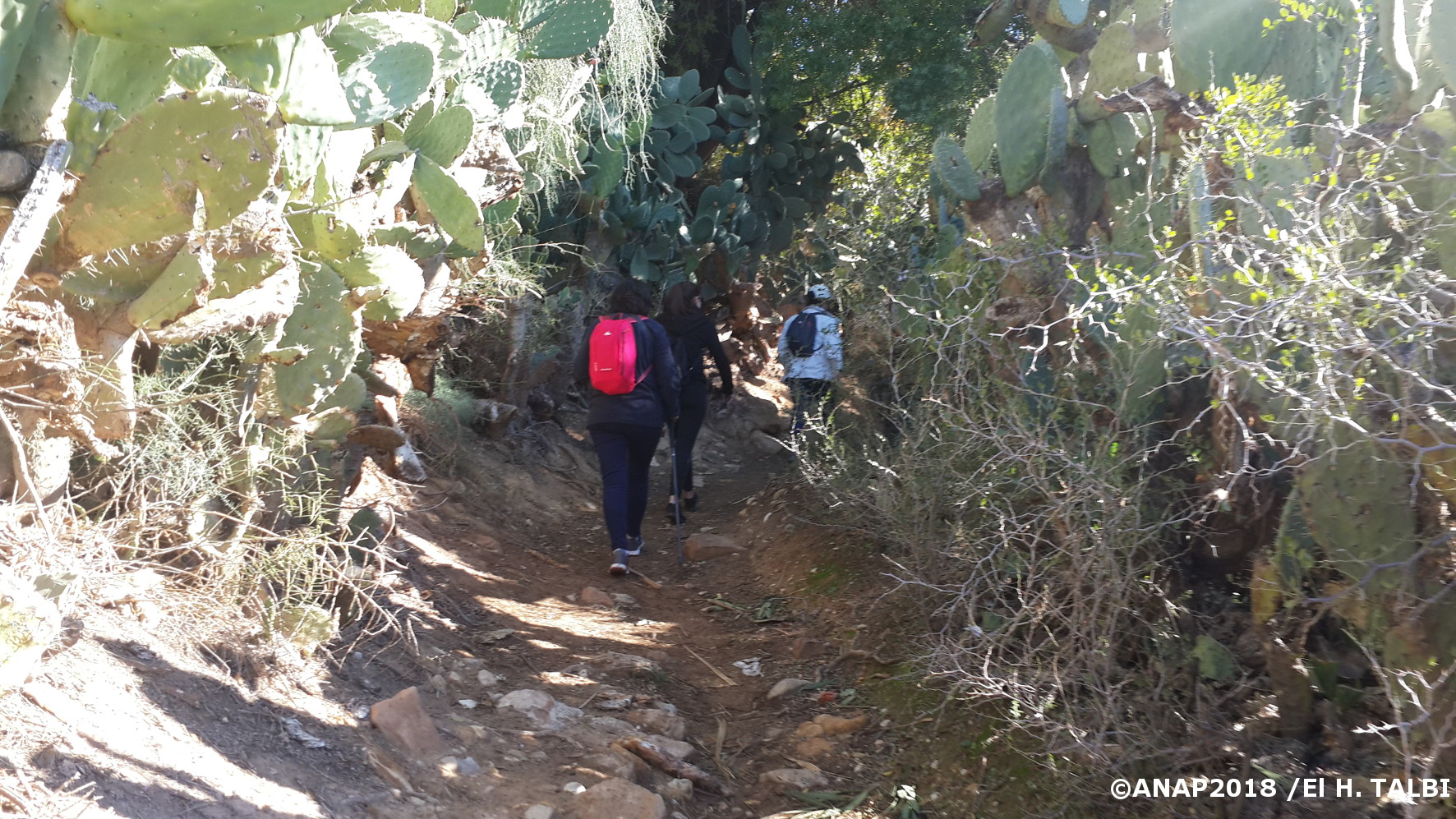 D�part � travers les jardins