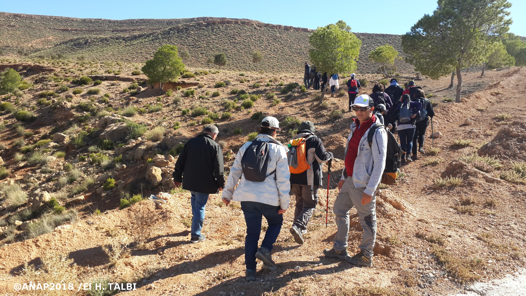 Balade dans les jardins