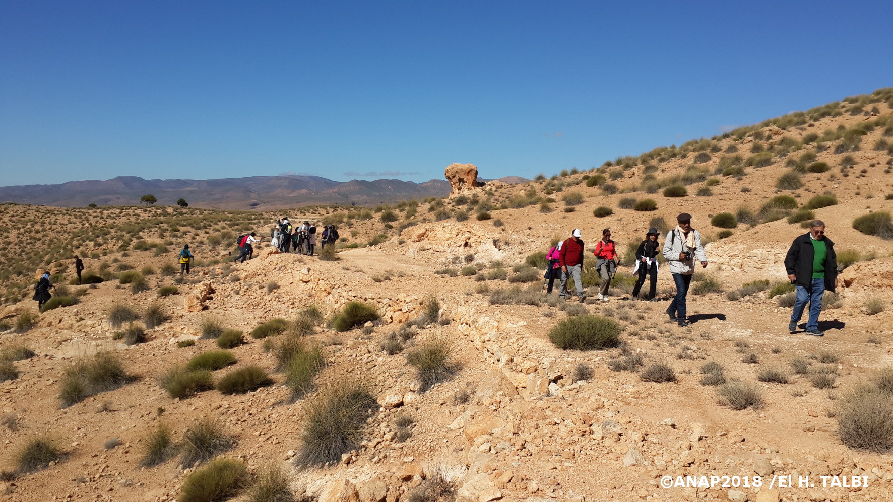 Ves le plateau du Sud