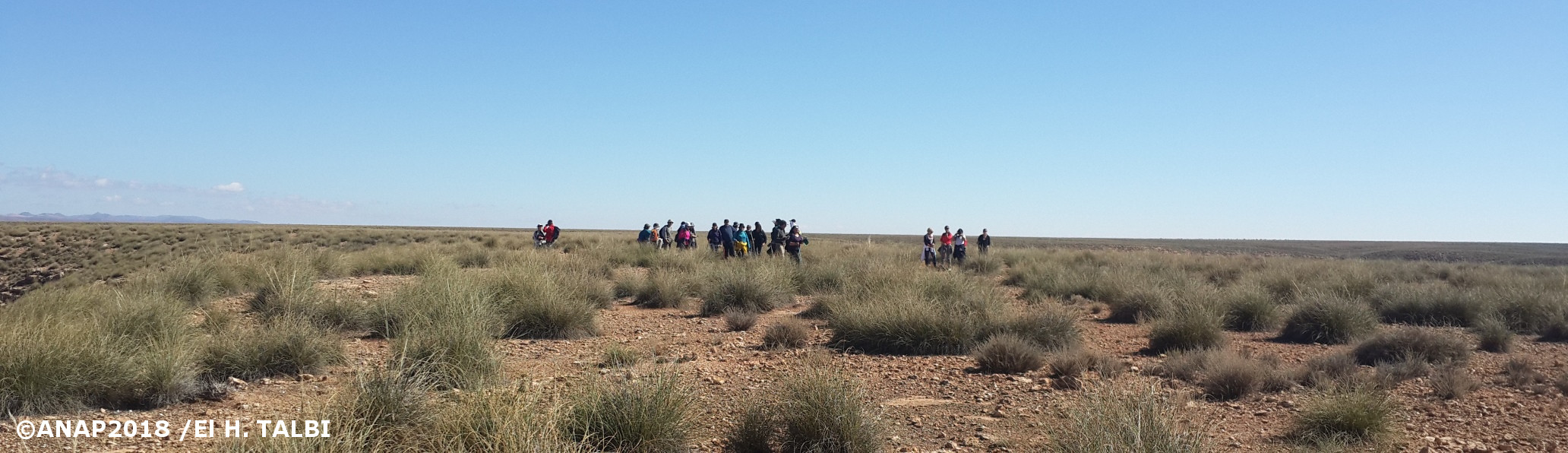 Sur un plateau de Gafait