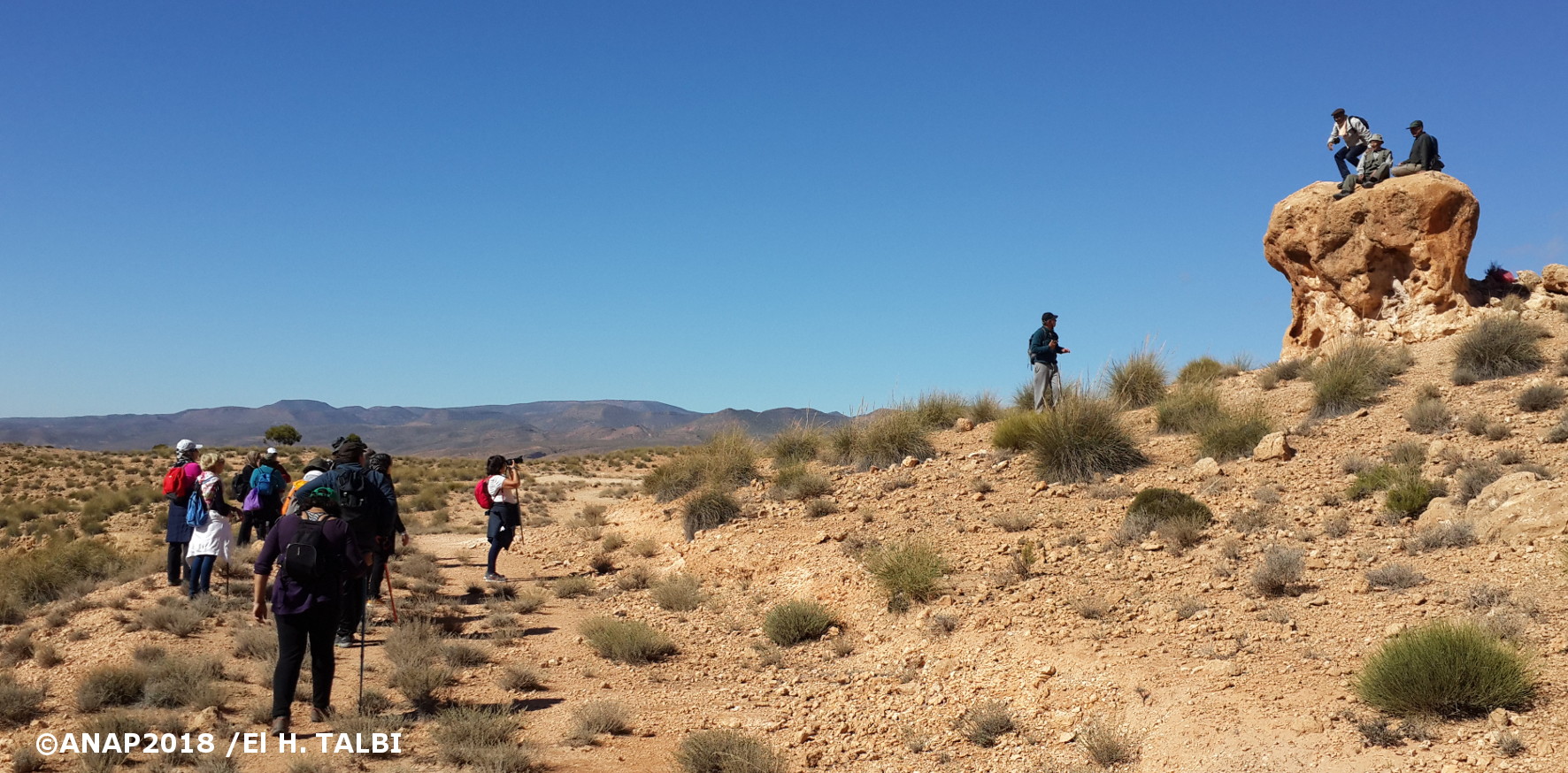 D�couverte du site