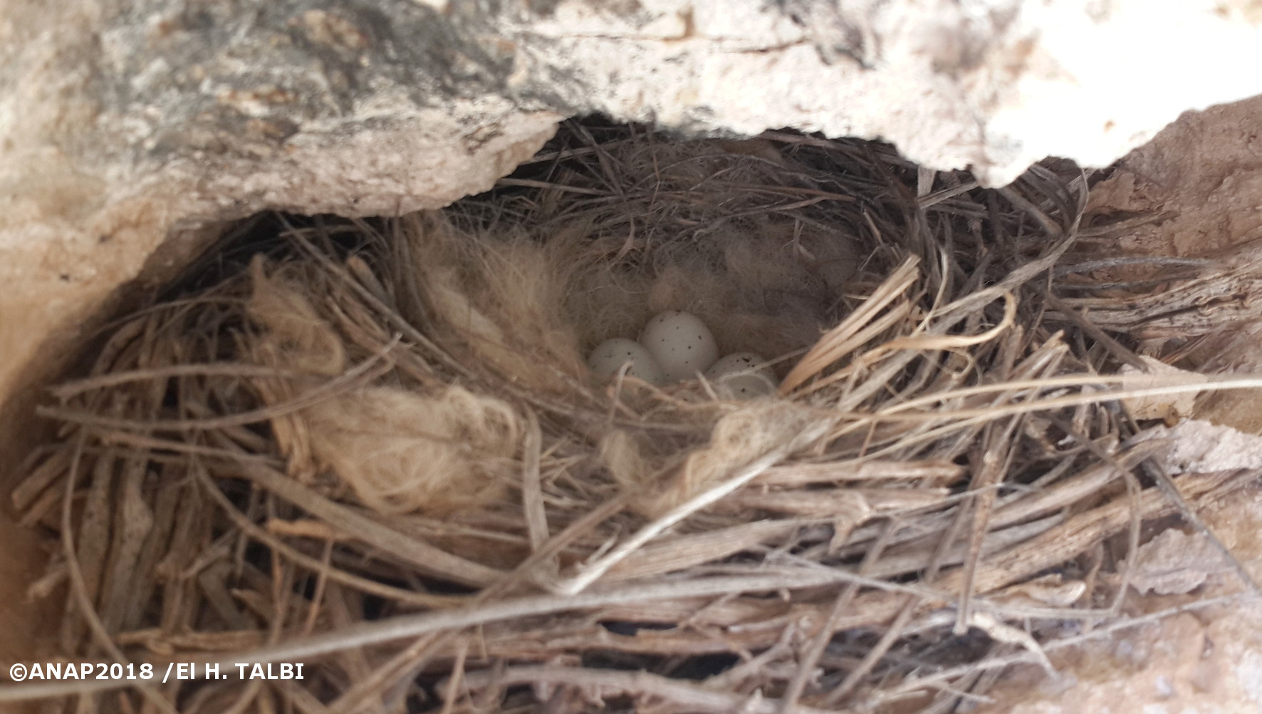 Vie cach�e du site