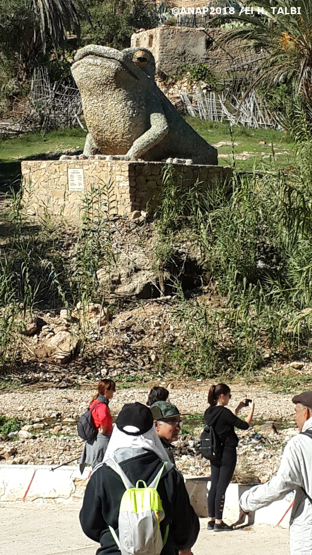 La Grenouille de Gafait
