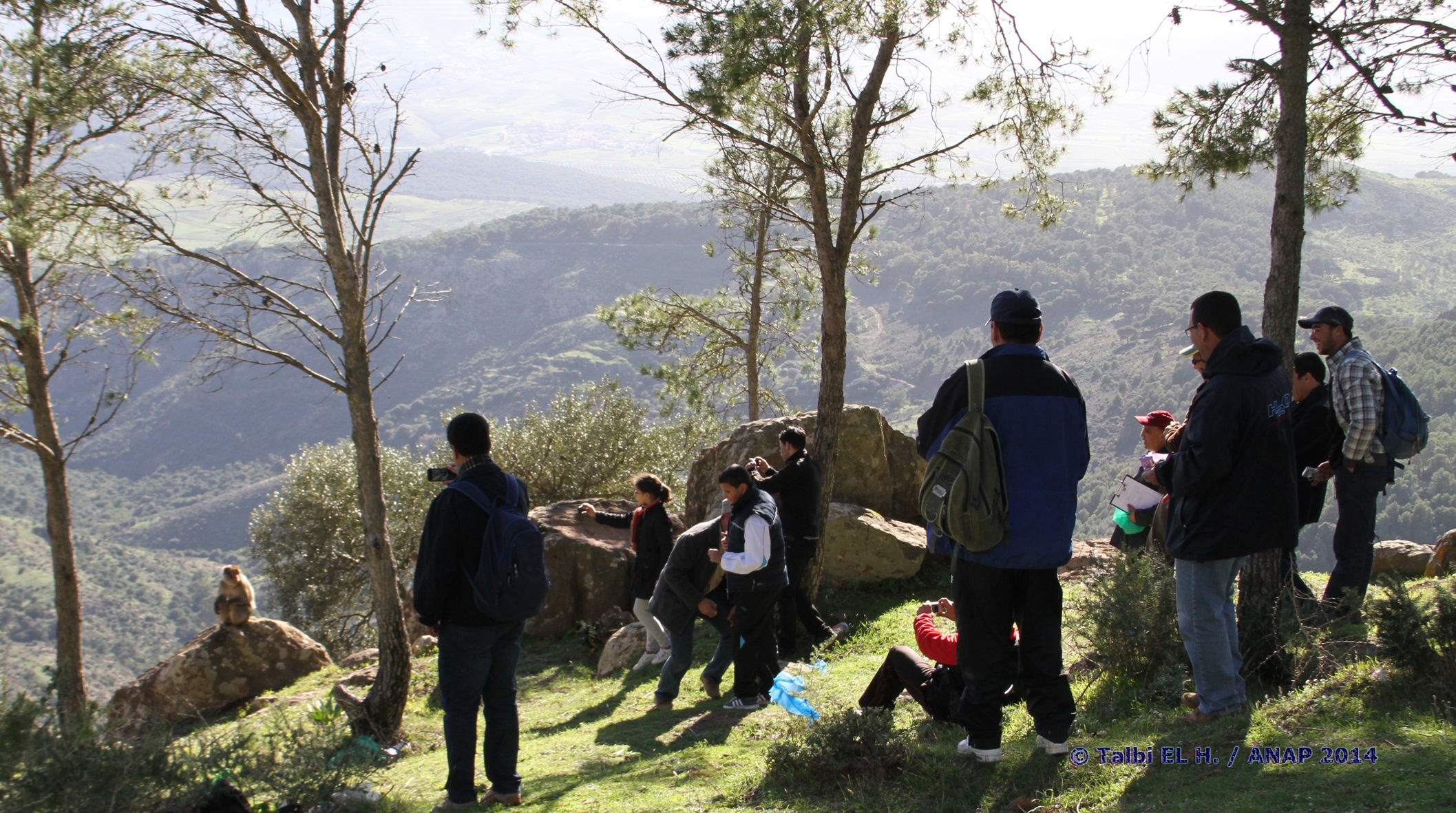 Phtographier le singe !