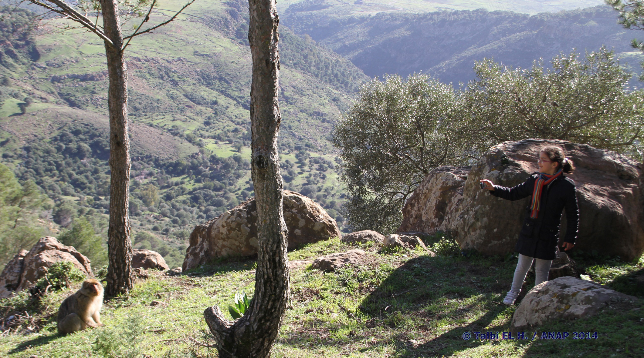 L'Enfant et le singe