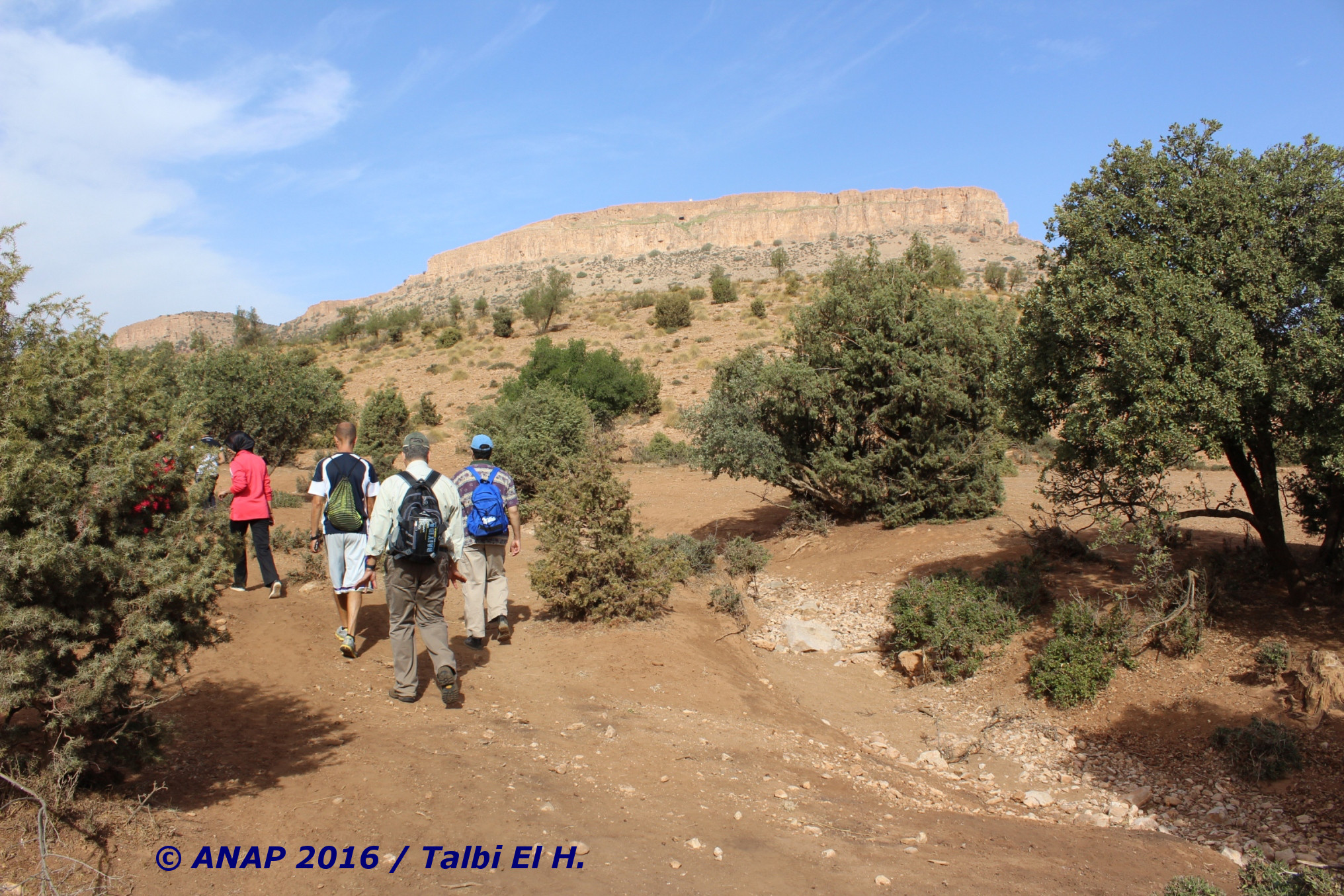 Au sein de la for�t