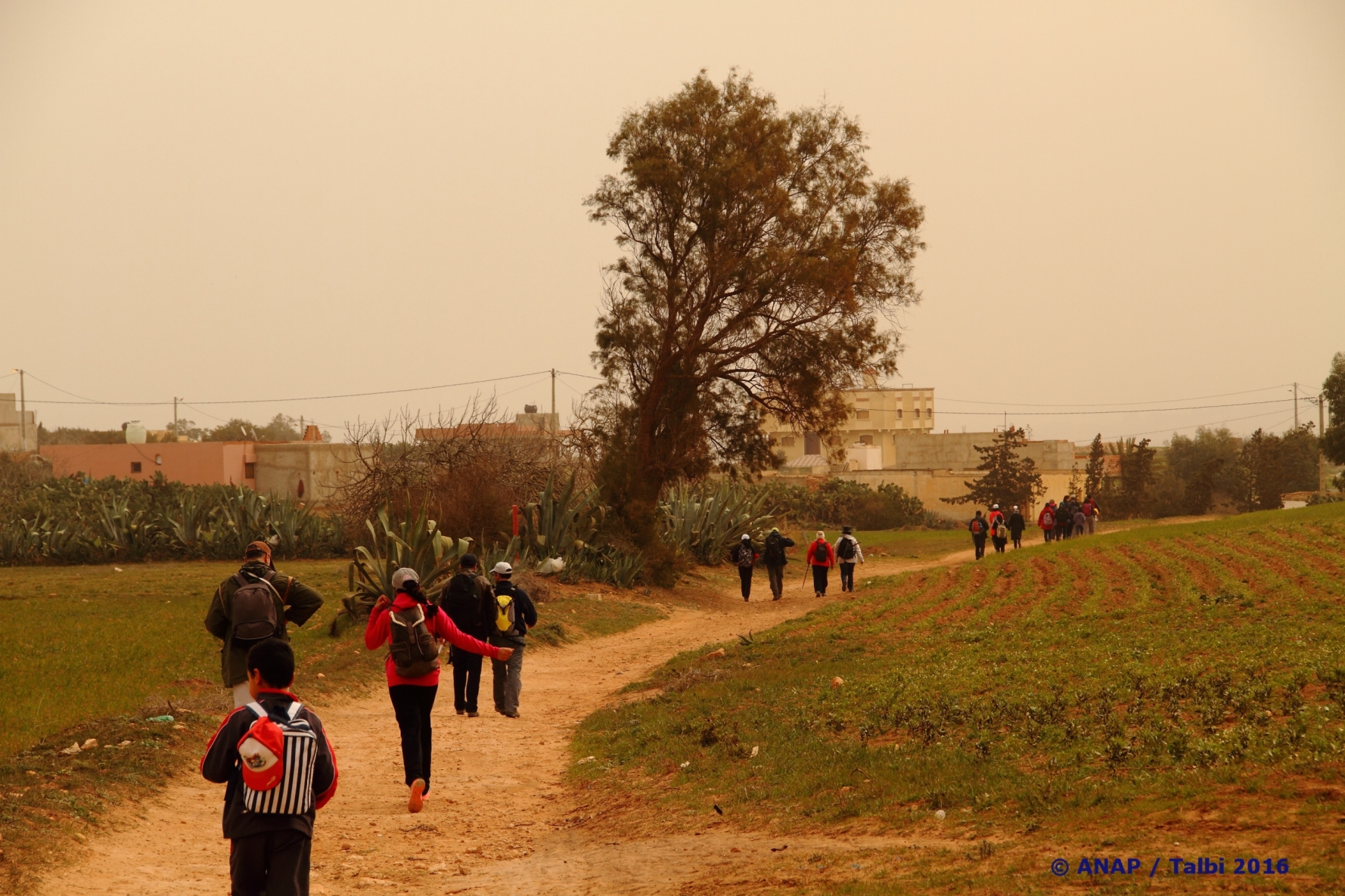 A travers les douars de Ras El Ma