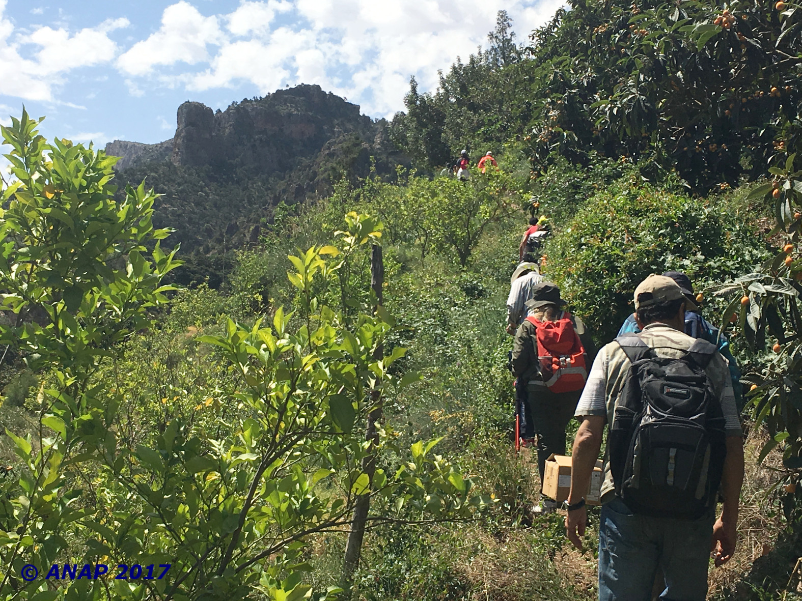 Rando B�ni Snassen