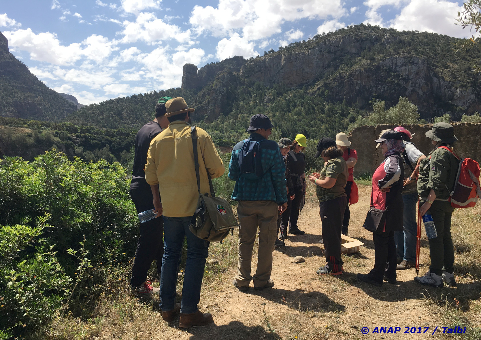 Lib�ration de tortues dans la nature