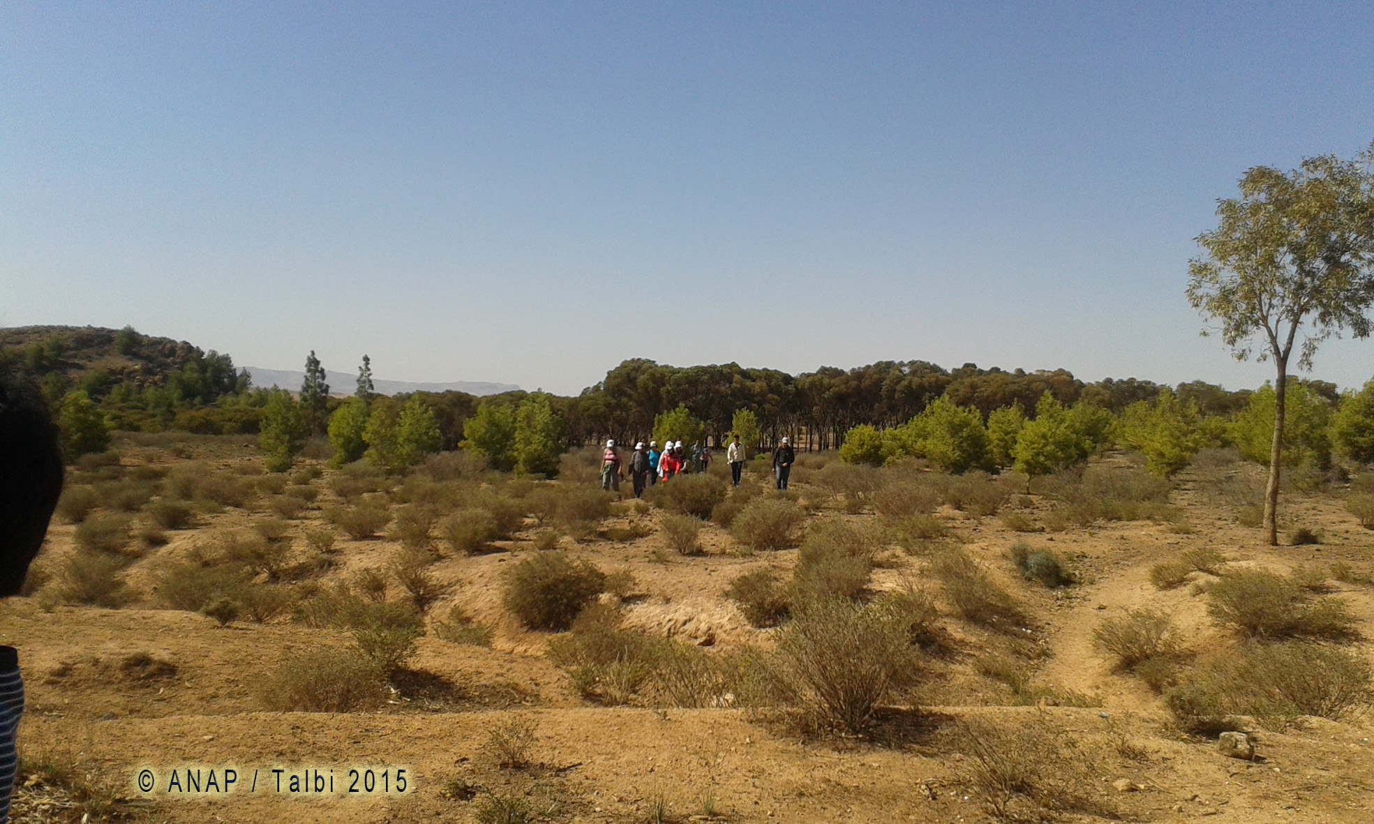 Changement de paysage