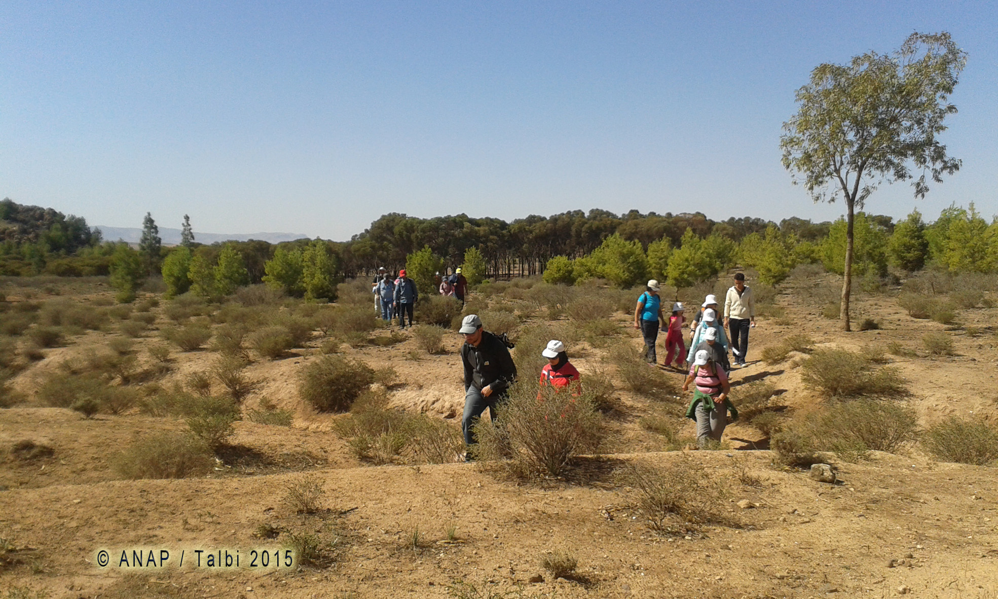 Changement de paysage