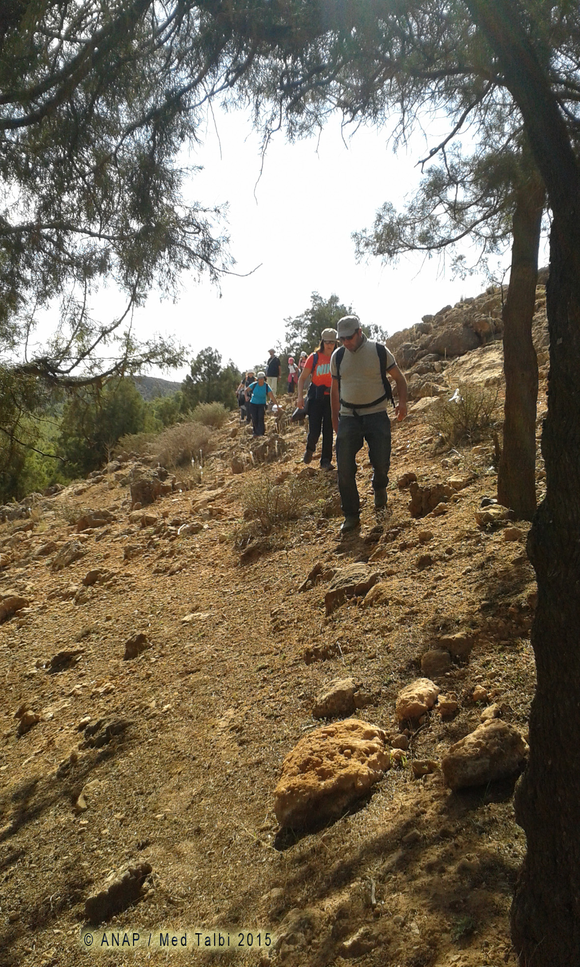 Photos p�lem�le Med Talbi