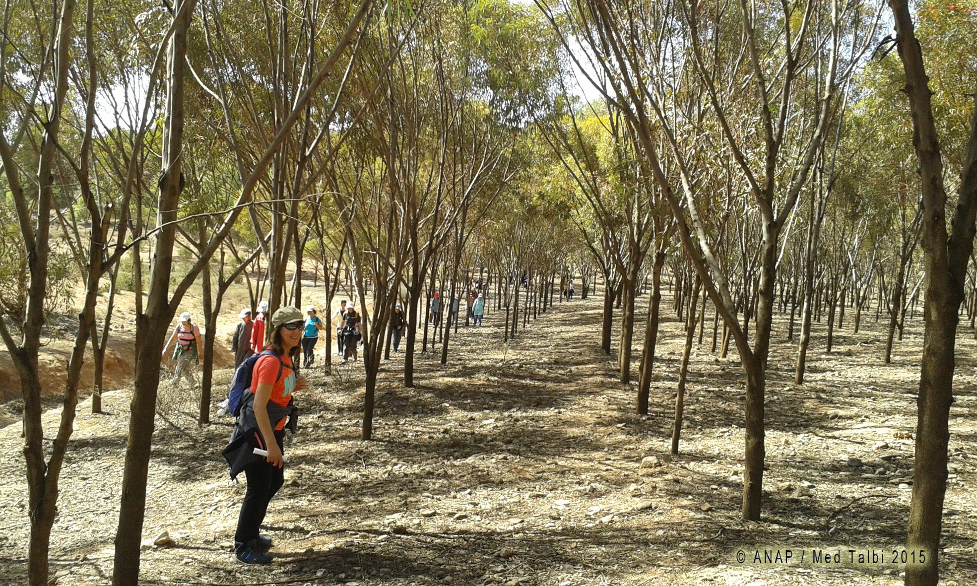 Photos p�lem�le Med Talbi