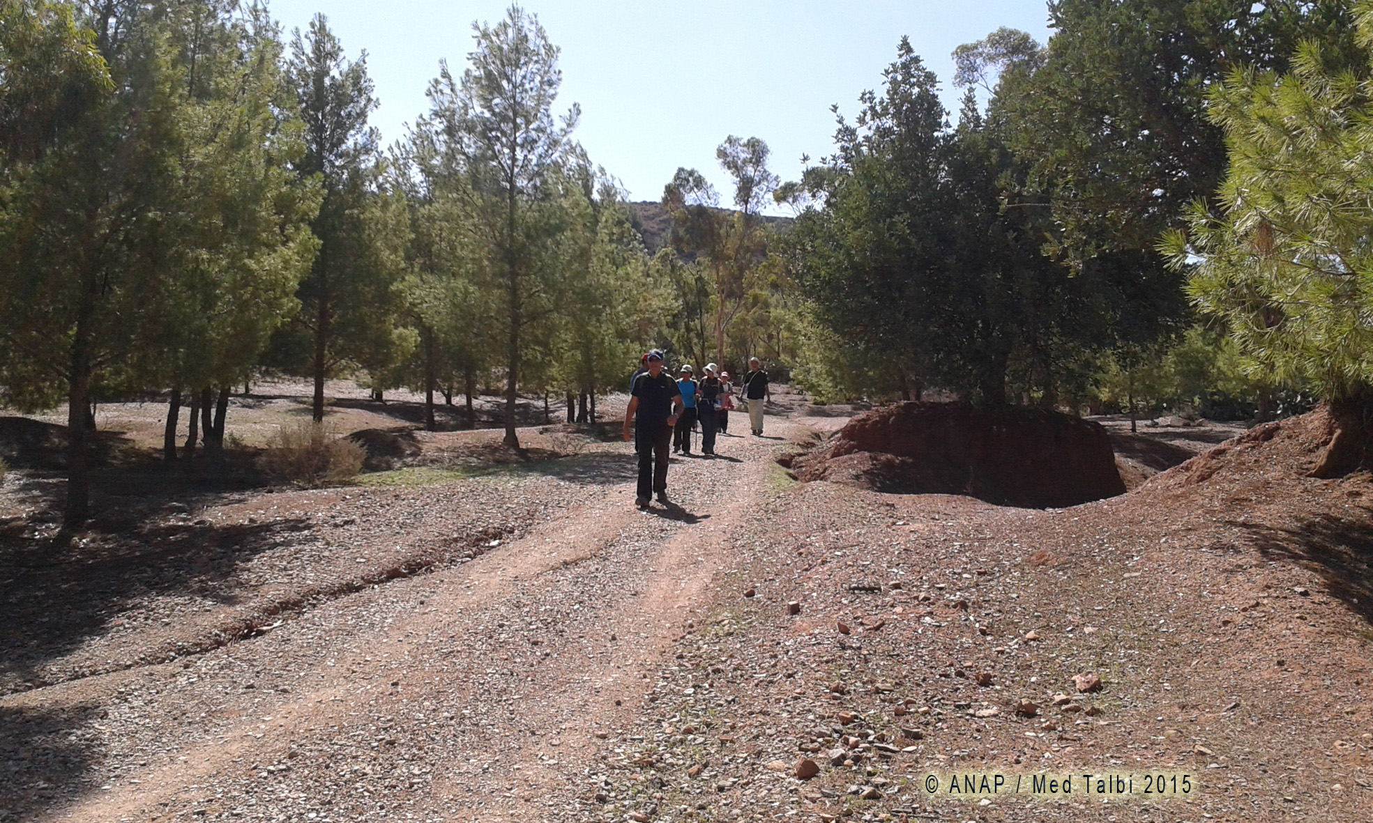 Photos p�lem�le Med Talbi