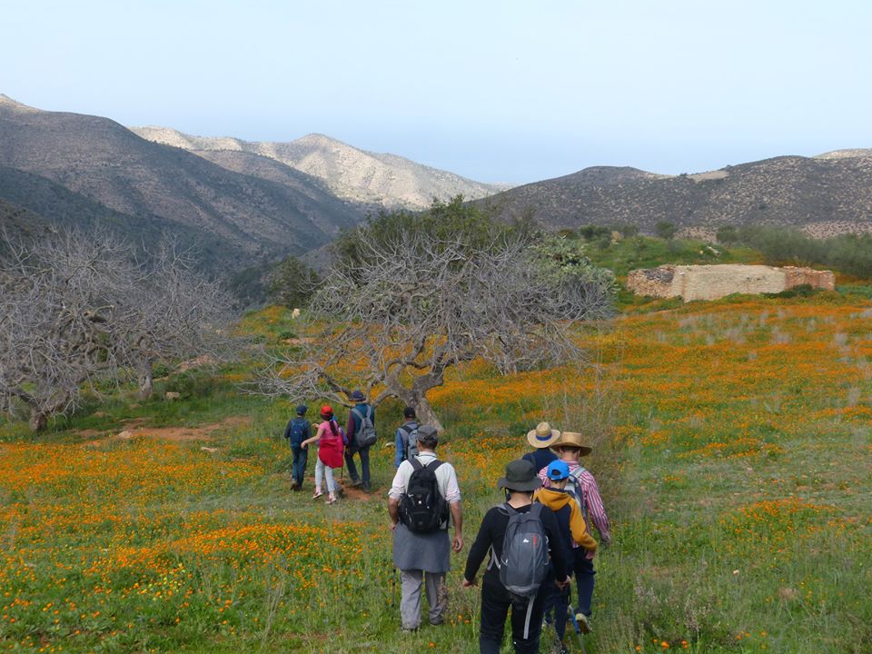 Paysages de printemps