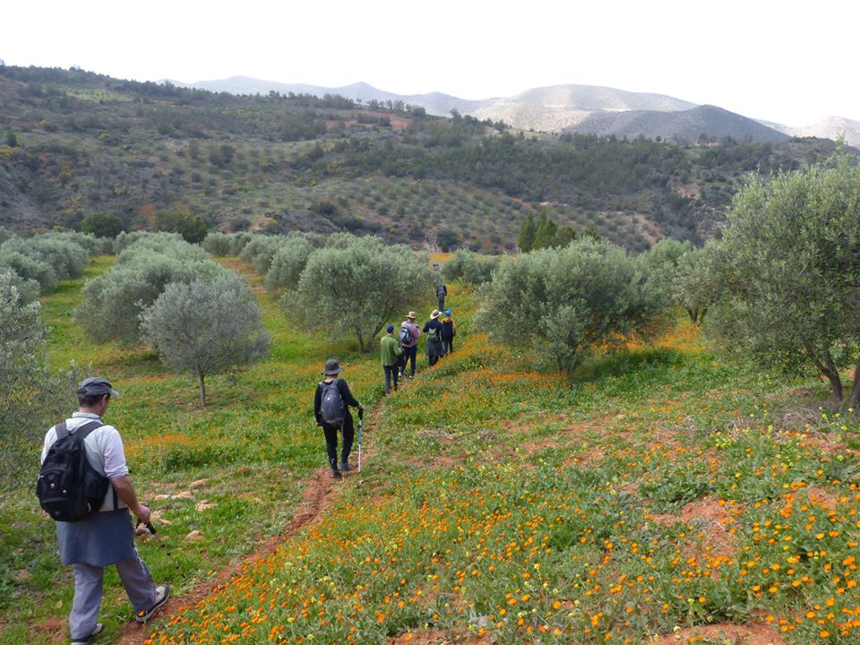 Au milieu des champs