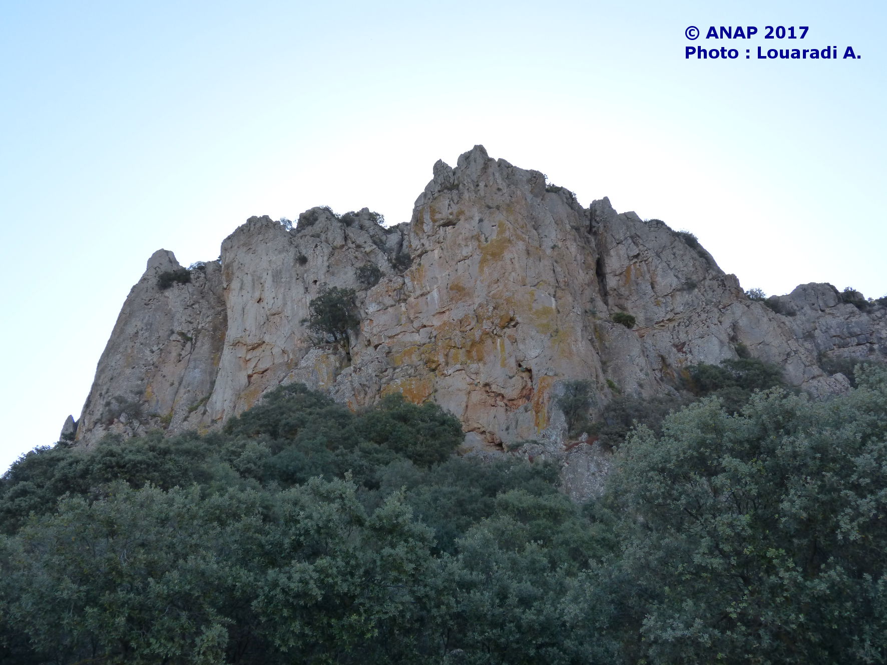 Louaradi 6