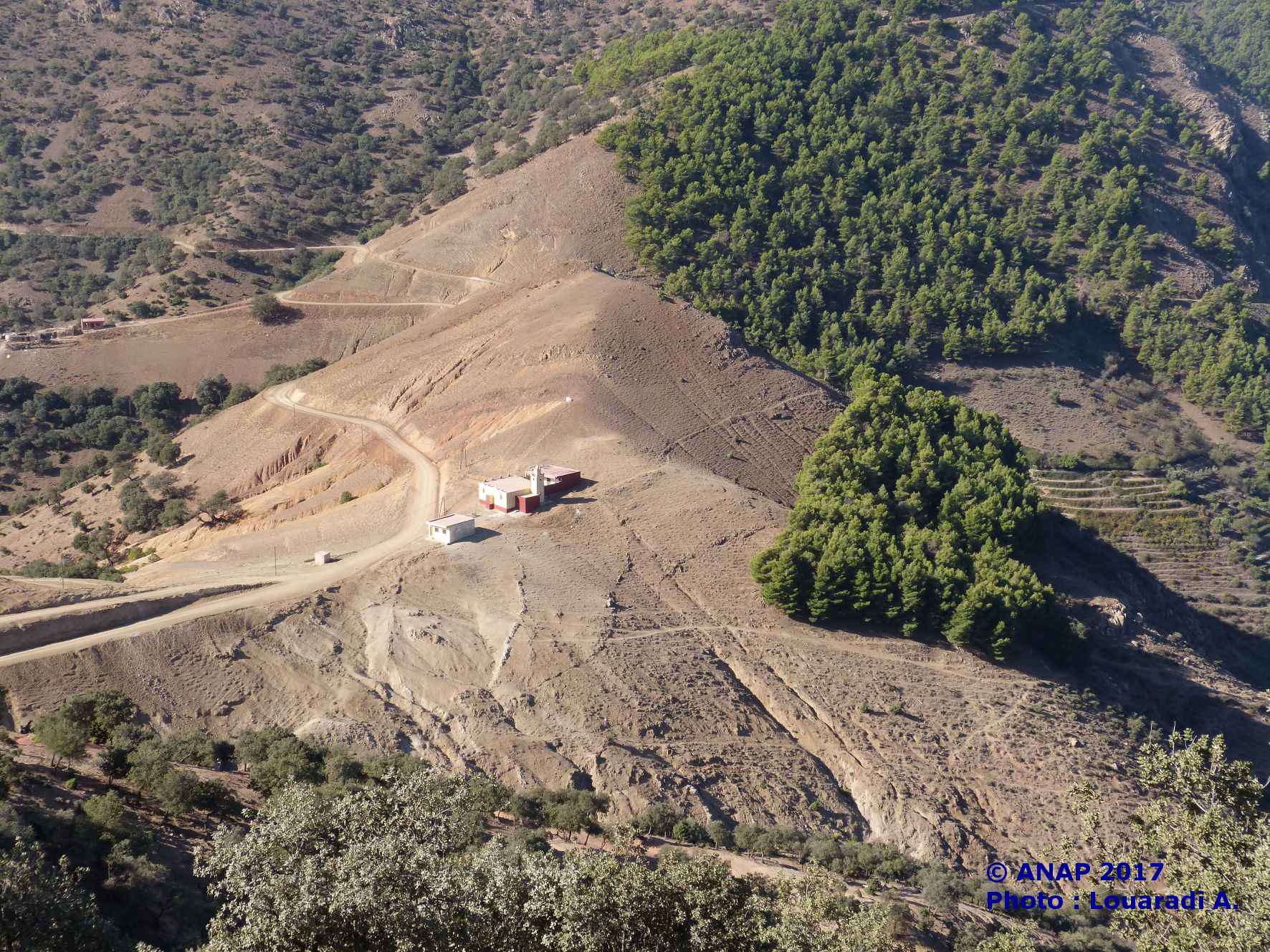 Louaradi 7