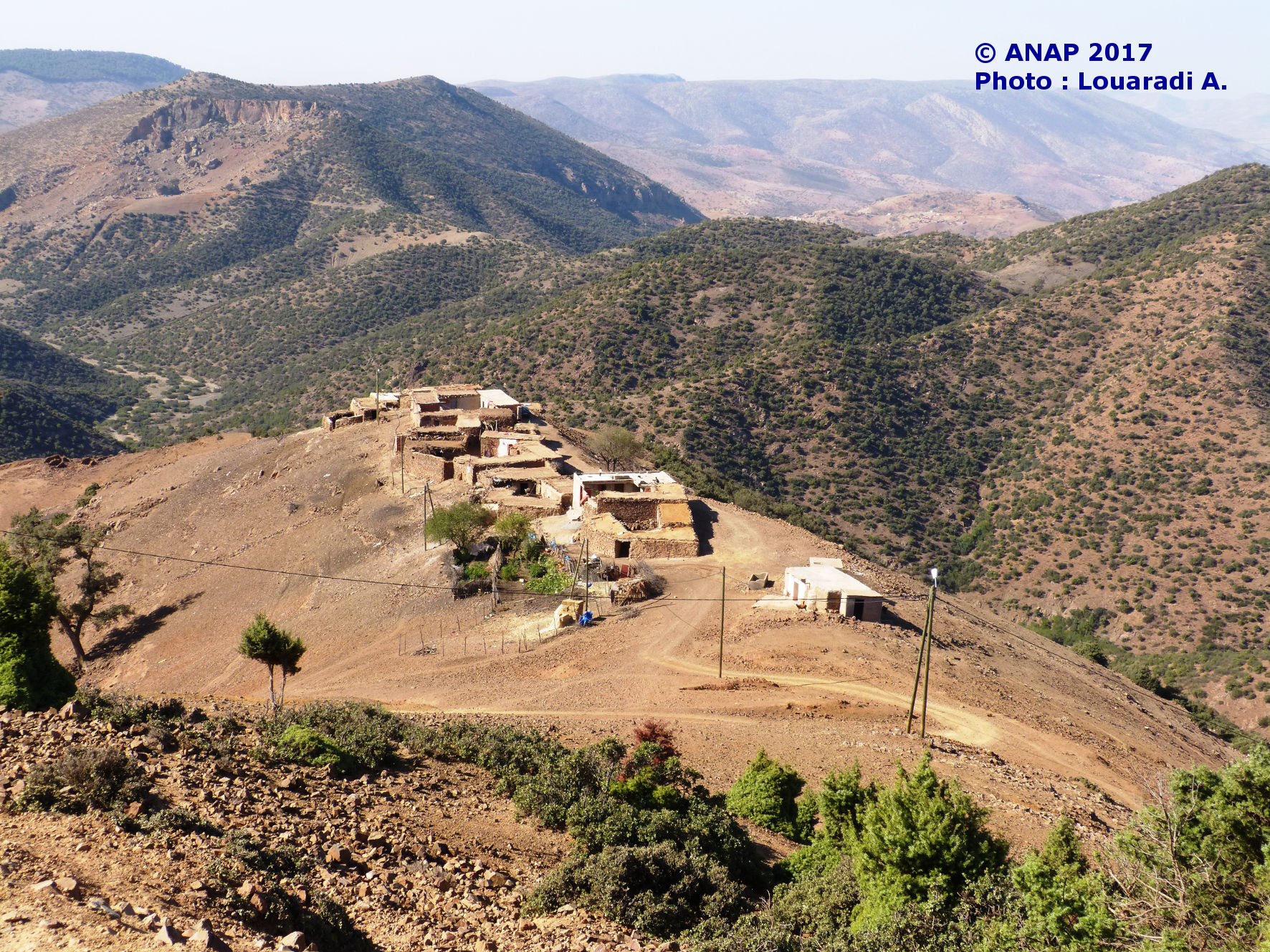 Louaradi 13