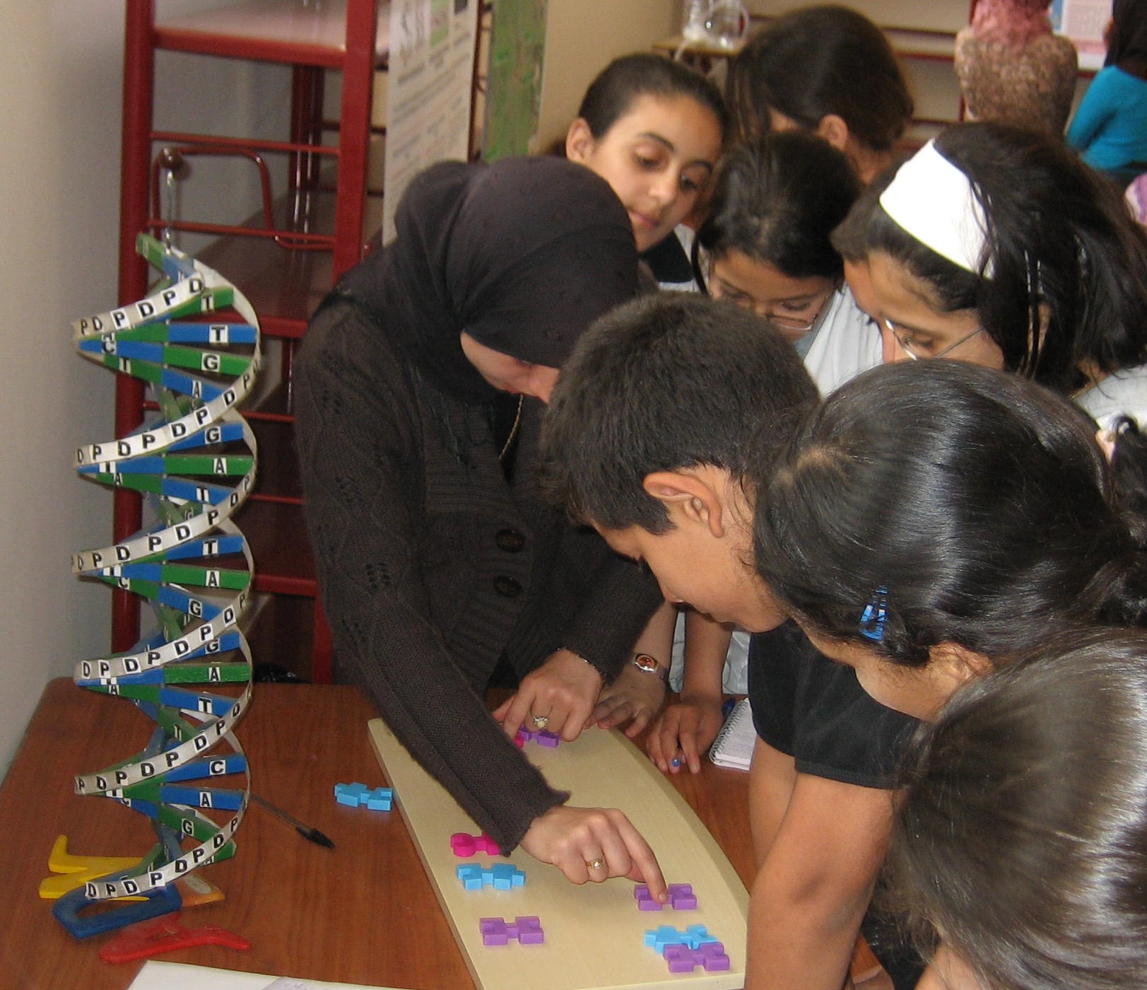 Expo "Sciences interactives" :: animation